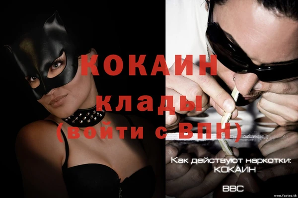 крисы Дмитровск