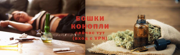 ГАЛЛЮЦИНОГЕННЫЕ ГРИБЫ Дмитров