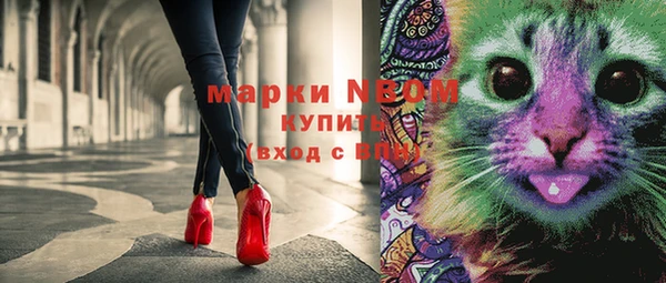 крисы Дмитровск