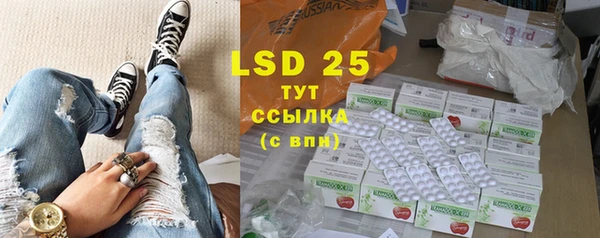 PSILOCYBIN Дмитриев