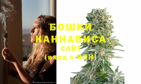 PSILOCYBIN Дмитриев