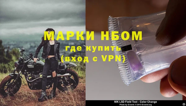 PSILOCYBIN Дмитриев