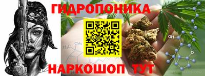 ECSTASY Кулебаки