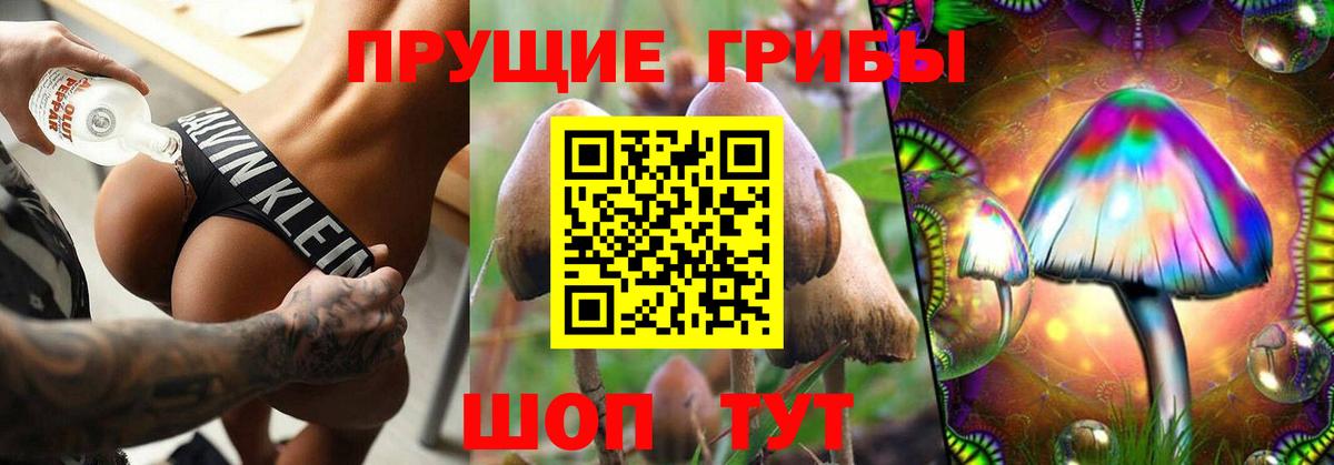 Зеленокумск  Псилоцибиновые грибы Psilocybe  Вход с VPN 